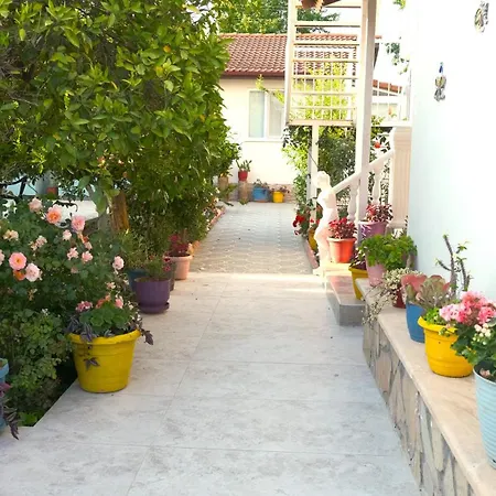 Casablanca 달리안